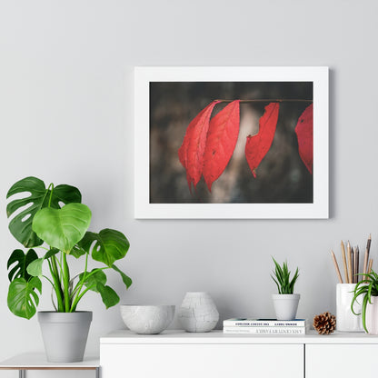 Leaves of Red Framed Matte Print