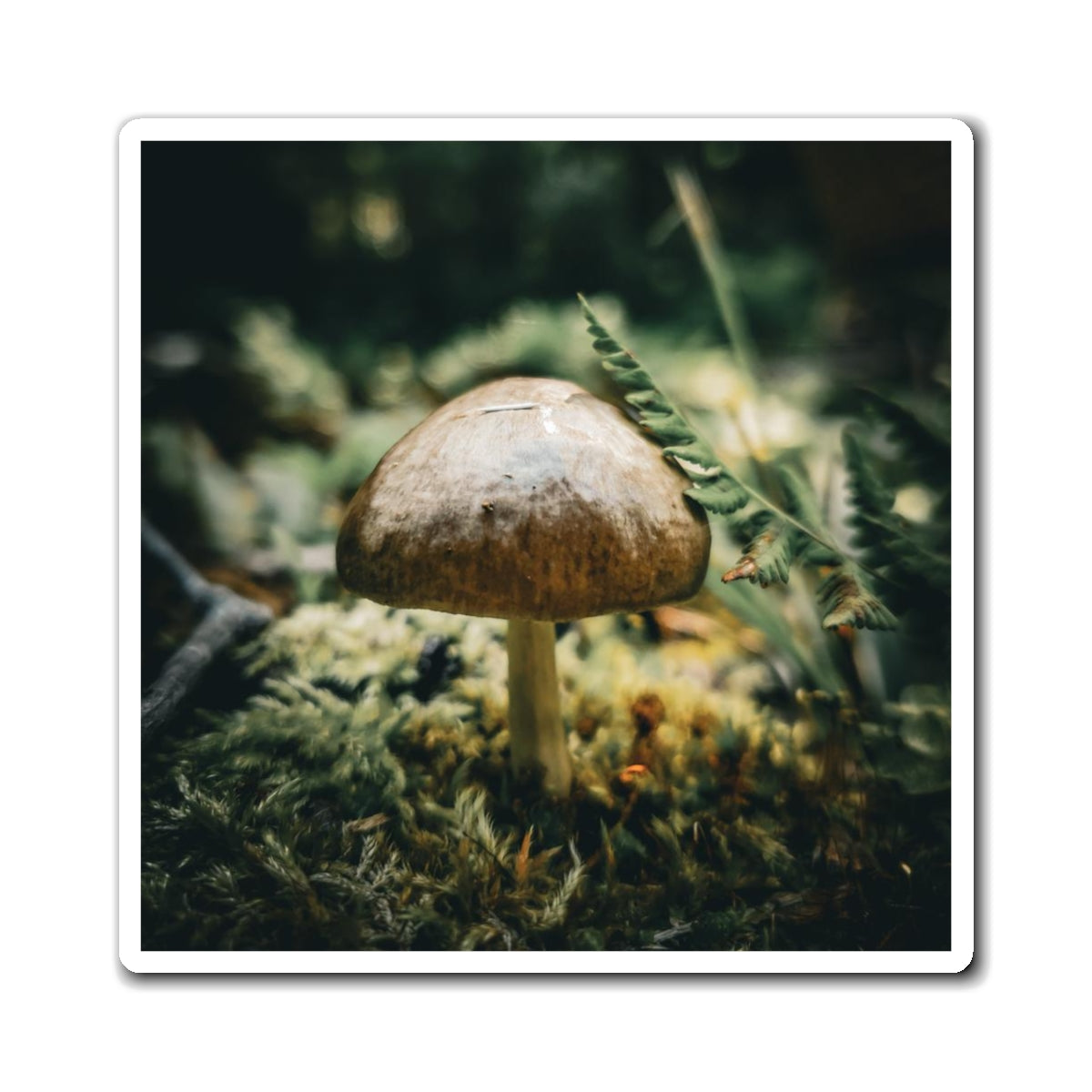 Mossy Mushroom House Magnet