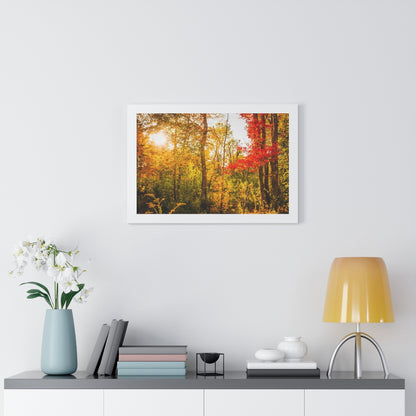 Happy Autumn Sun Framed Matte Print