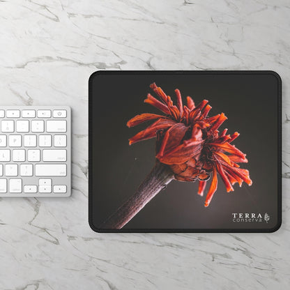 Macro Vibrant Red Orange Flower Large Mouse Pad