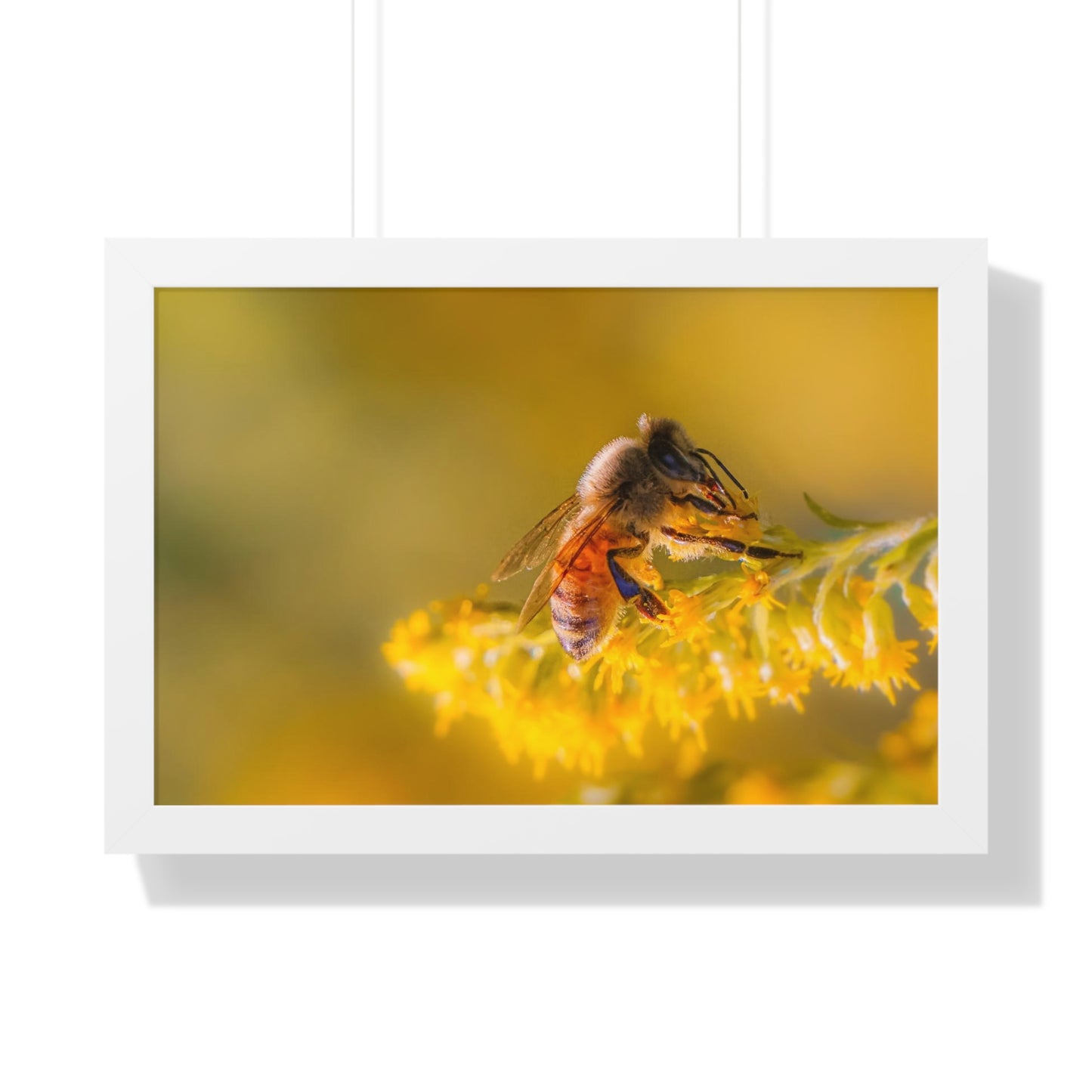 Golden Honey Bee Framed Matte Print