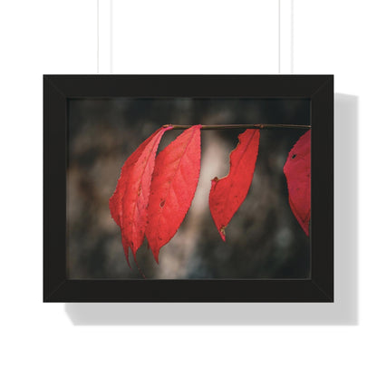 Leaves of Red Framed Matte Print