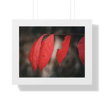 Leaves of Red Framed Matte Print