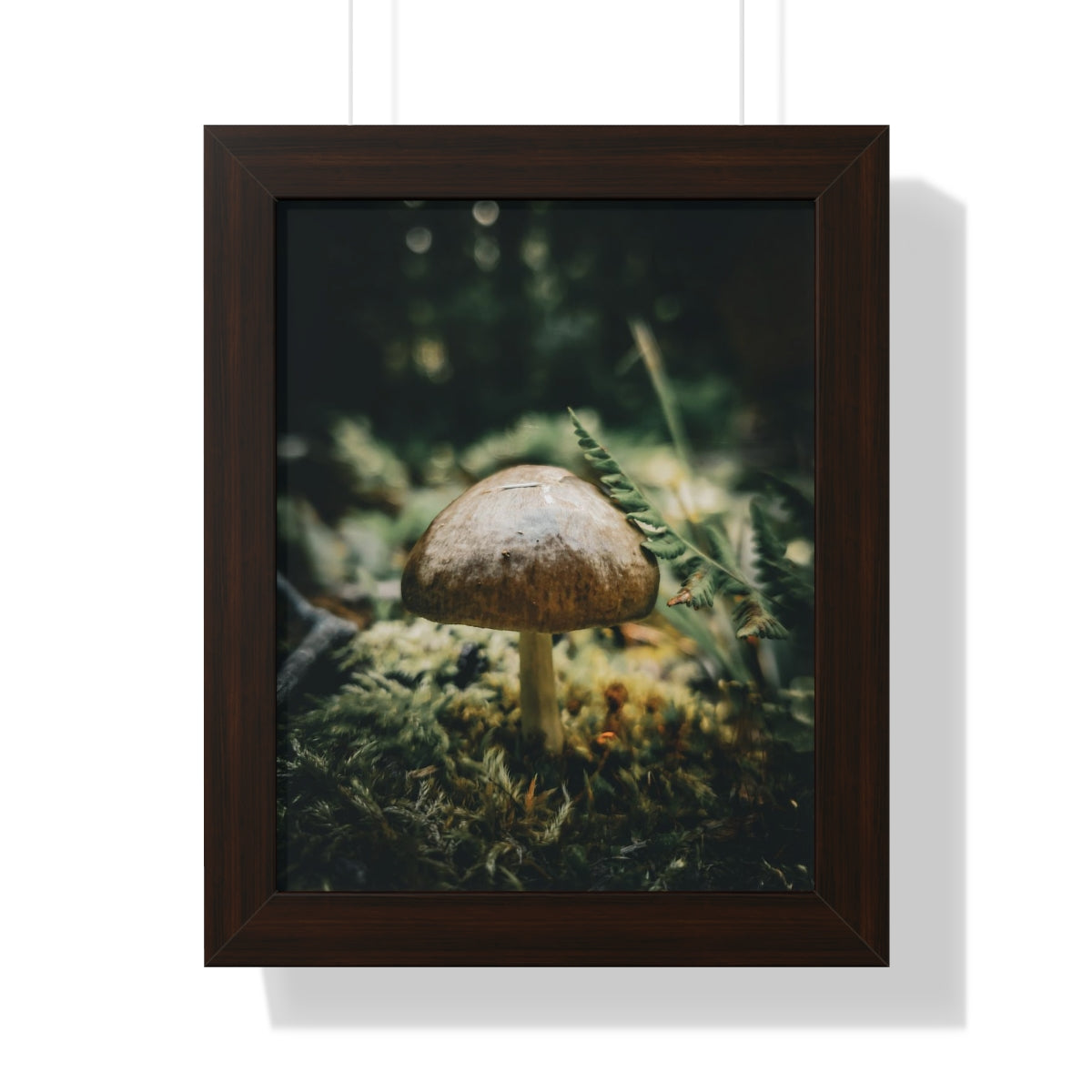 Mossy Mushroom House Framed Matte Print