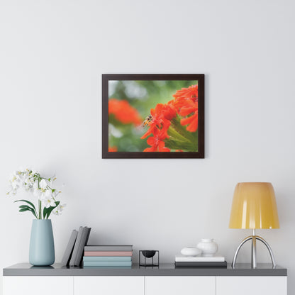 Flower Fly on Red Flowers Framed Matte Print