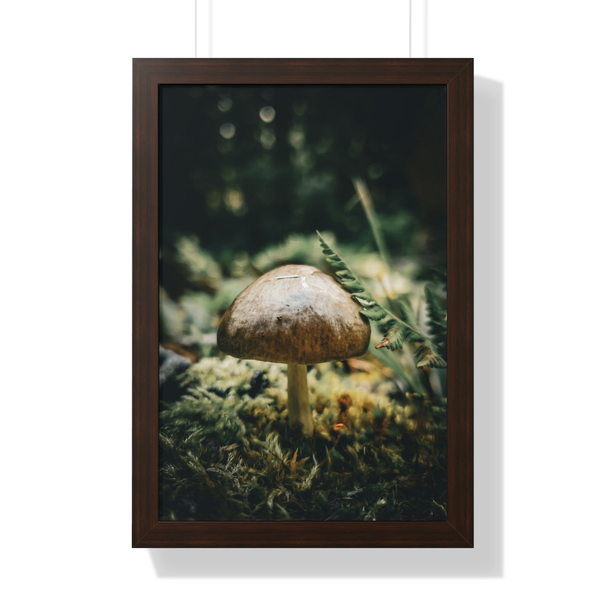 Mossy Mushroom House Framed Matte Print