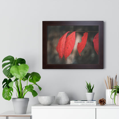 Leaves of Red Framed Matte Print