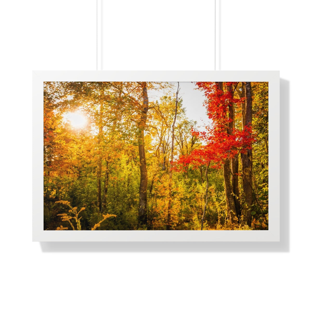 Happy Autumn Sun Framed Matte Print