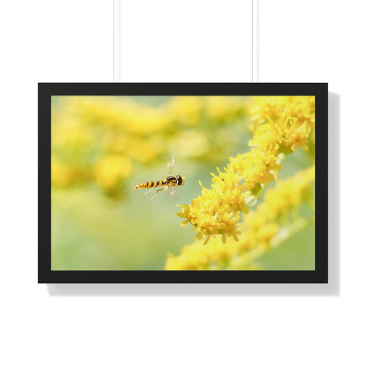 Happy Yellow Flower Fly Framed Matte Print