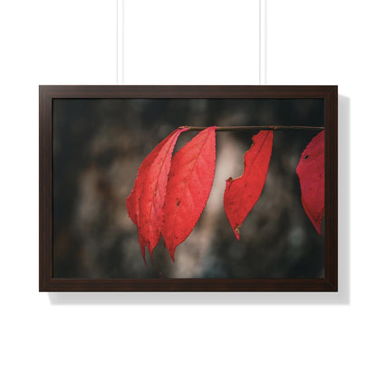 Leaves of Red Framed Matte Print