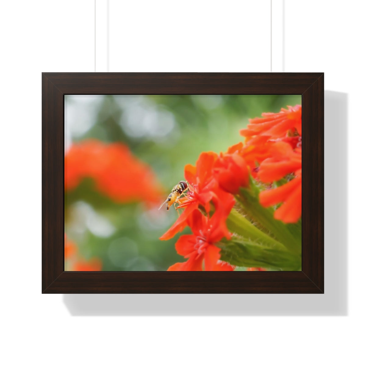 Flower Fly on Red Flowers Framed Matte Print