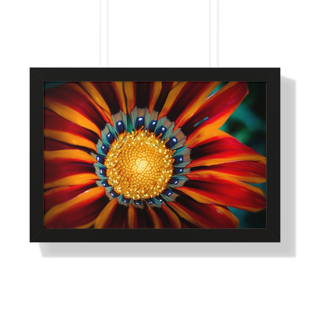 Vibrant Macro Flower Framed Matte Print