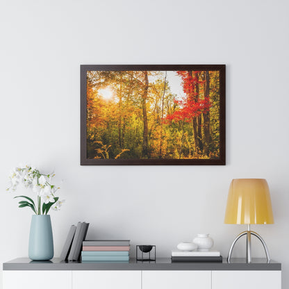 Happy Autumn Sun Framed Matte Print