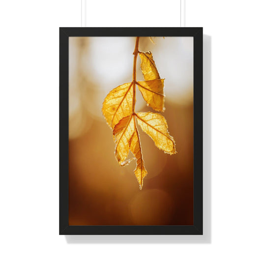 Leaves of Gold Framed Matte Print