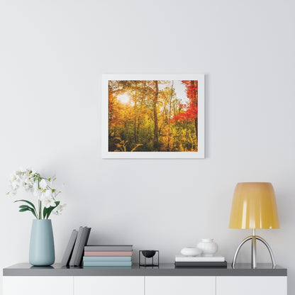 Happy Autumn Sun Framed Matte Print