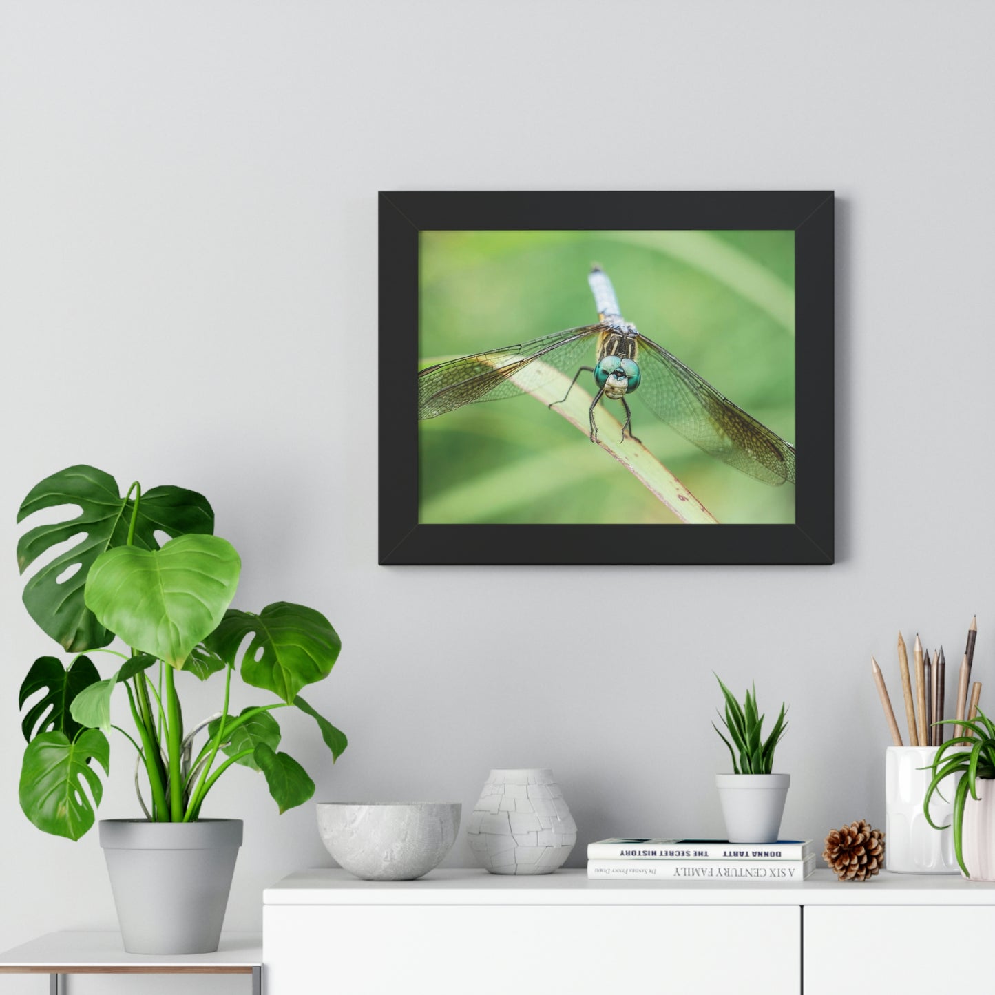 Macro Dragonfly Eyes Framed Matte Print