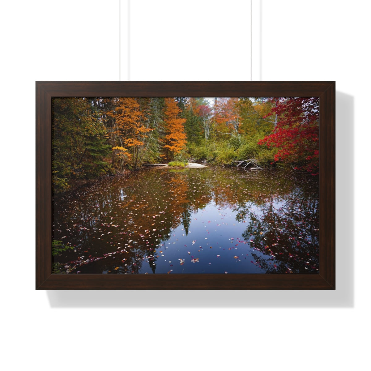 Maine Fall Foliage Waterscape Framed Matte Print