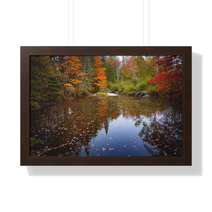 Maine Fall Foliage Waterscape Framed Matte Print