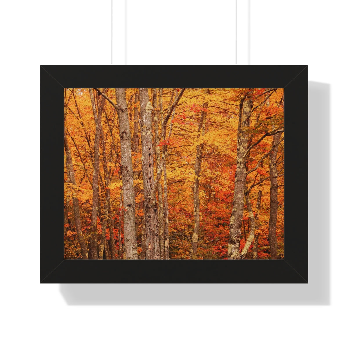 Forest of Autumn Colors Framed Matte Print