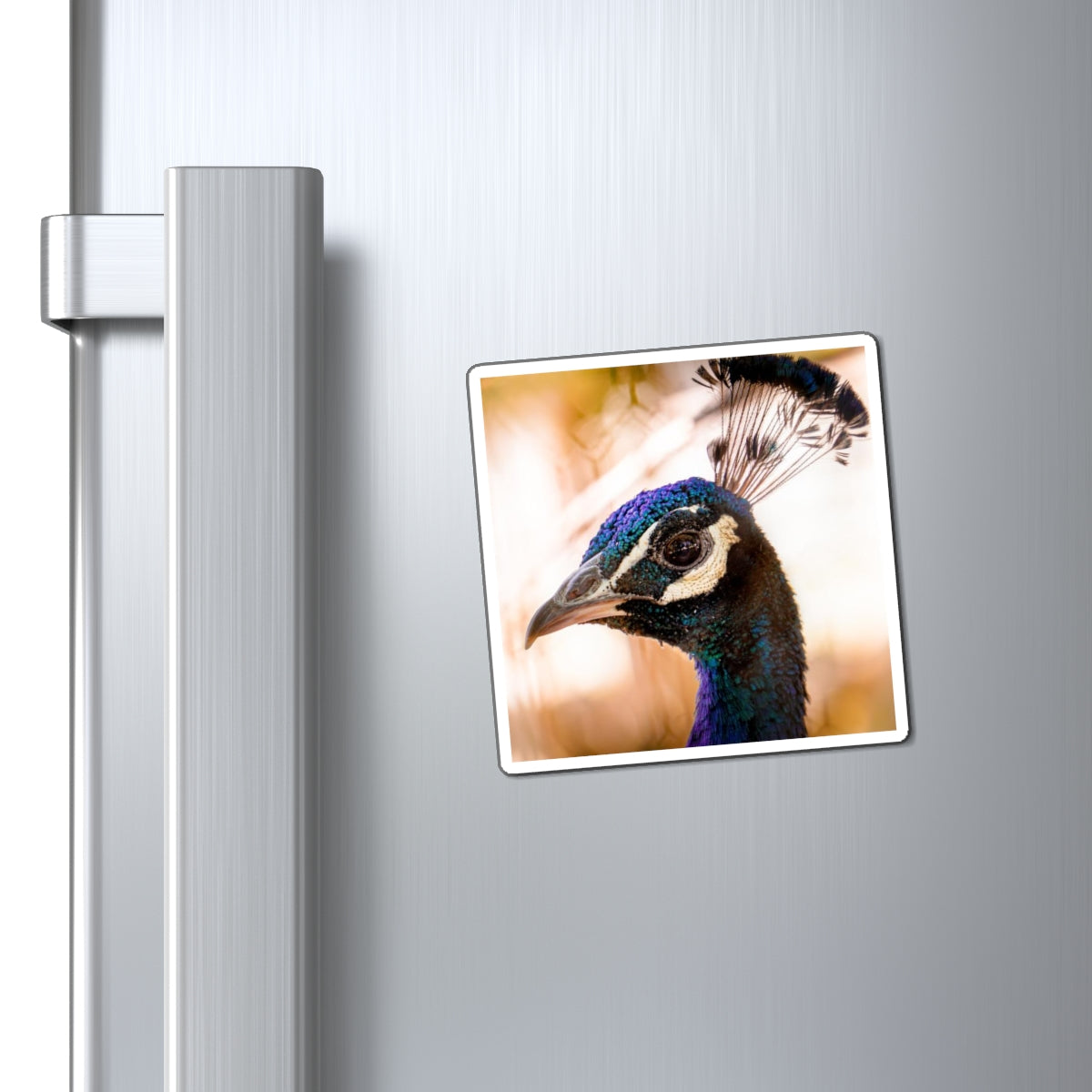 Peculiar Peacock Magnet