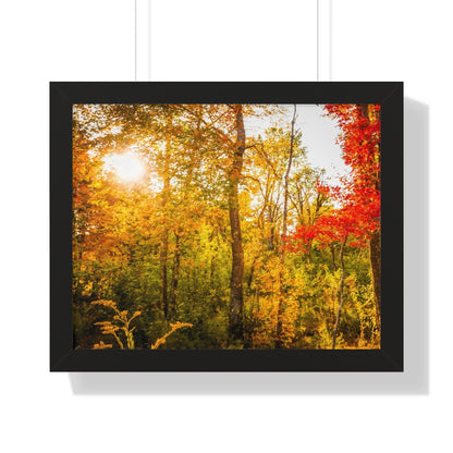 Happy Autumn Sun Framed Matte Print