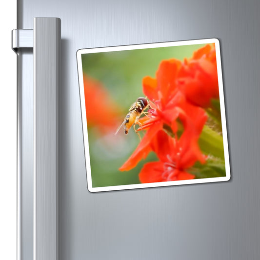 Flower Fly on Red Flowers Magnet