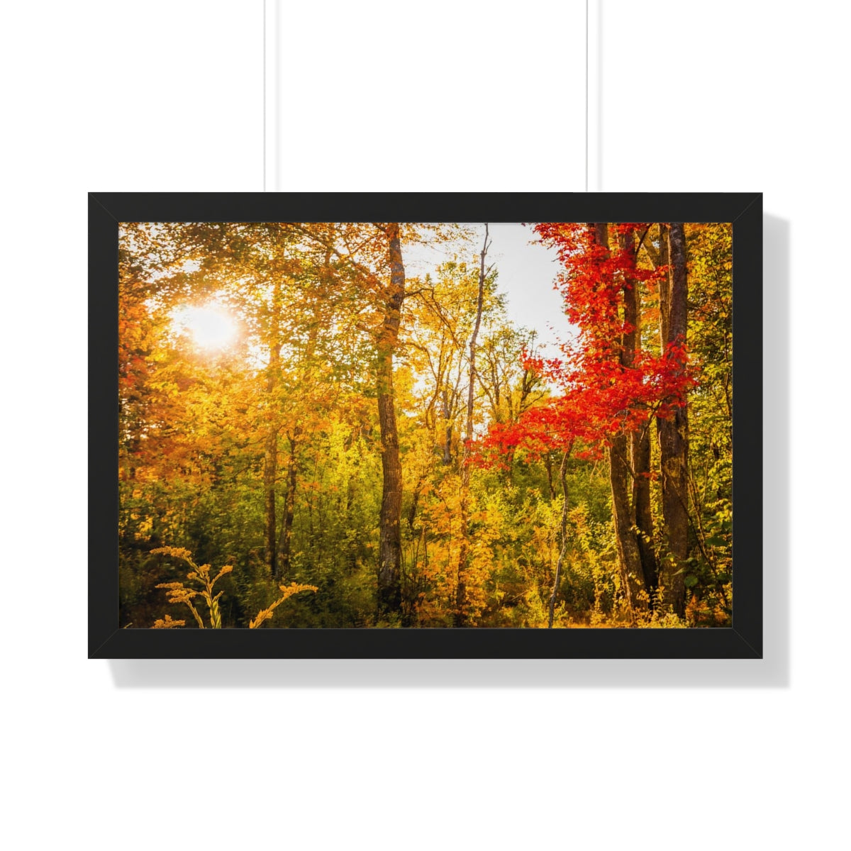 Happy Autumn Sun Framed Matte Print