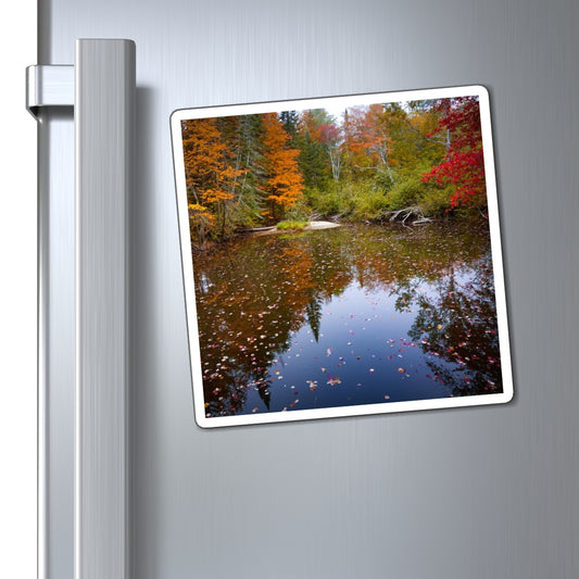 Maine Fall Foliage Waterscape Magnet