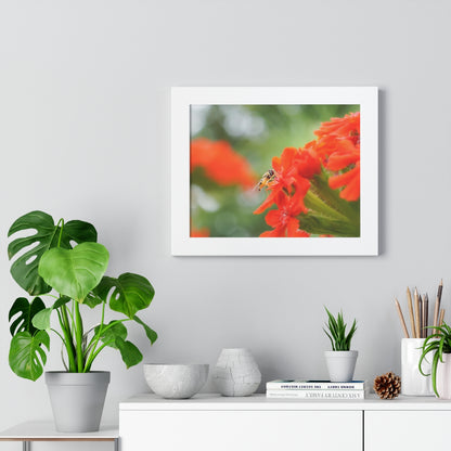 Flower Fly on Red Flowers Framed Matte Print