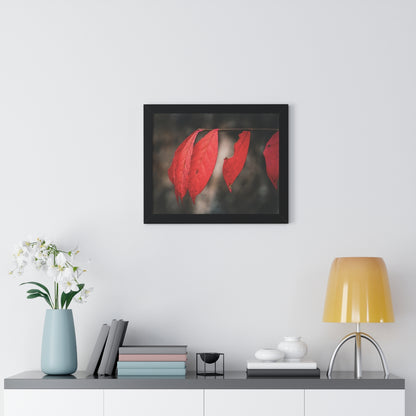 Leaves of Red Framed Matte Print