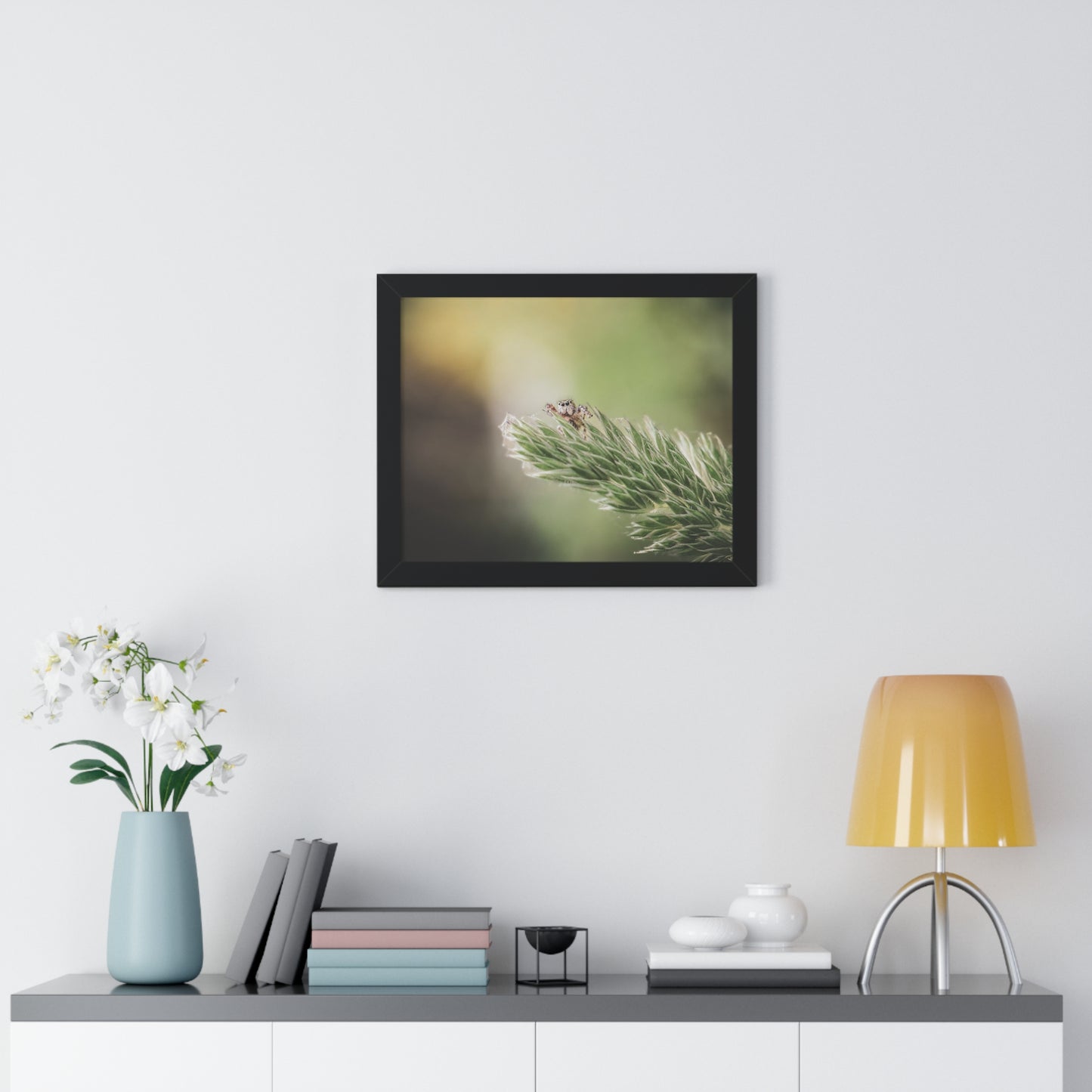 Jumping Spider in Macro Framed Matte Print