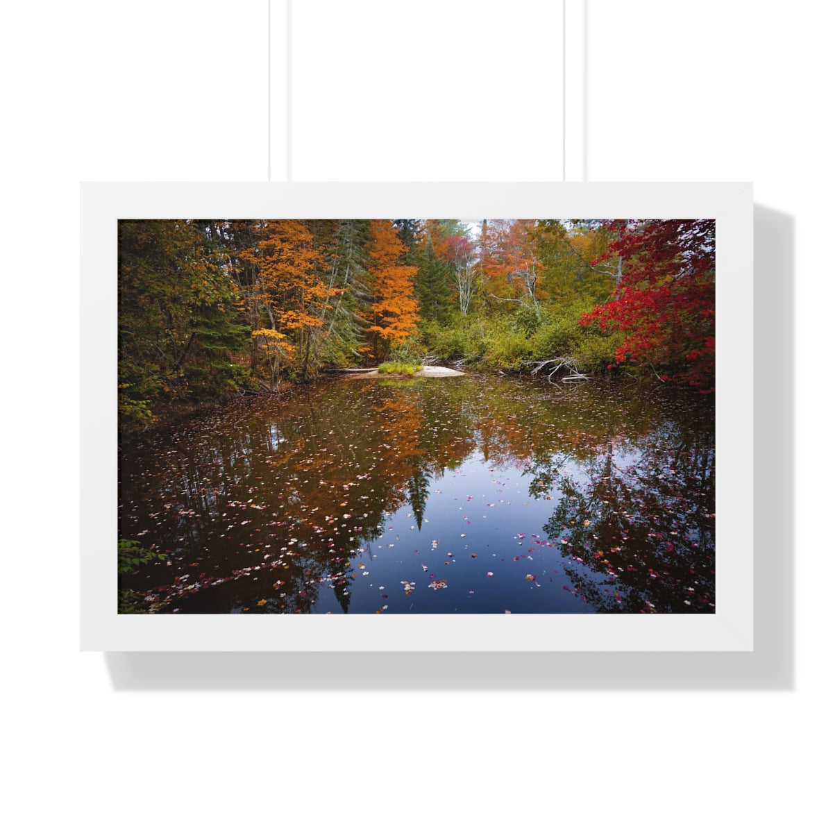 Maine Fall Foliage Waterscape Framed Matte Print