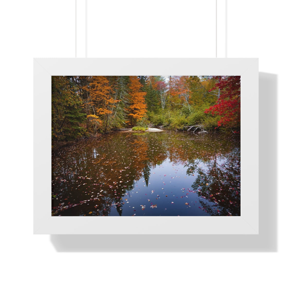 Maine Fall Foliage Waterscape Framed Matte Print