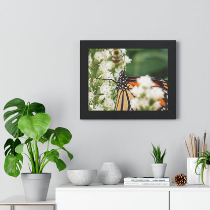 A Monarch Butterfly In Waiting Framed Matte Print