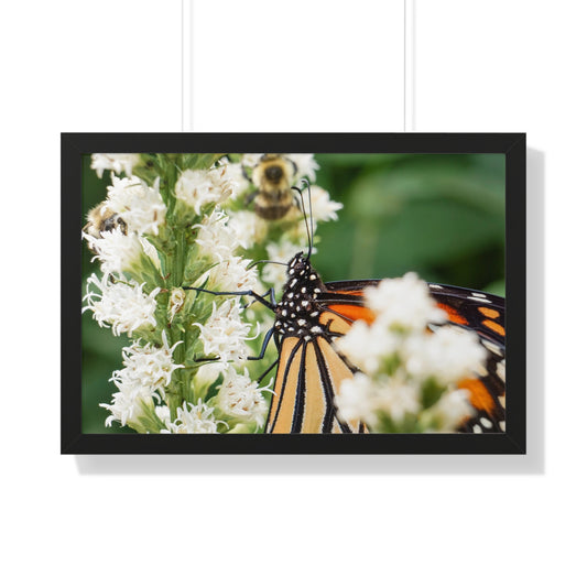 A Monarch Butterfly In Waiting Framed Matte Print