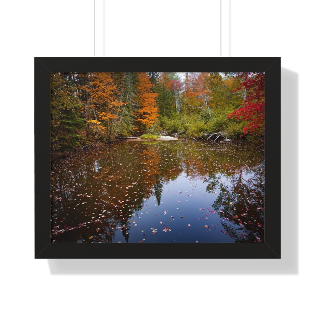 Maine Fall Foliage Waterscape Framed Matte Print