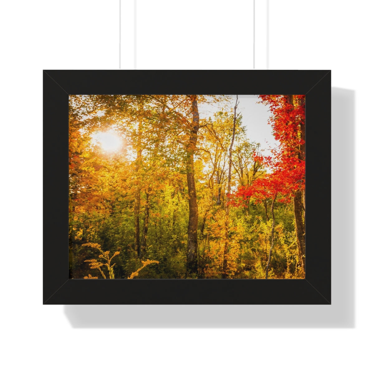 Happy Autumn Sun Framed Matte Print