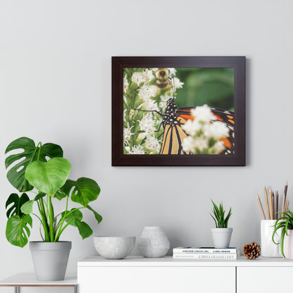 A Monarch Butterfly In Waiting Framed Matte Print