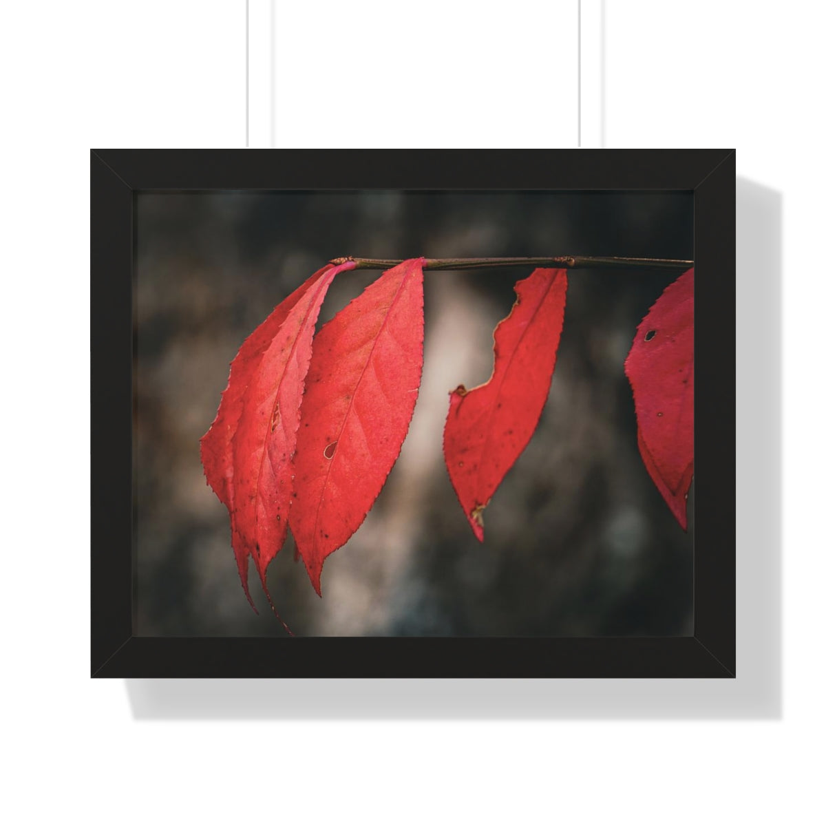 Leaves of Red Framed Matte Print