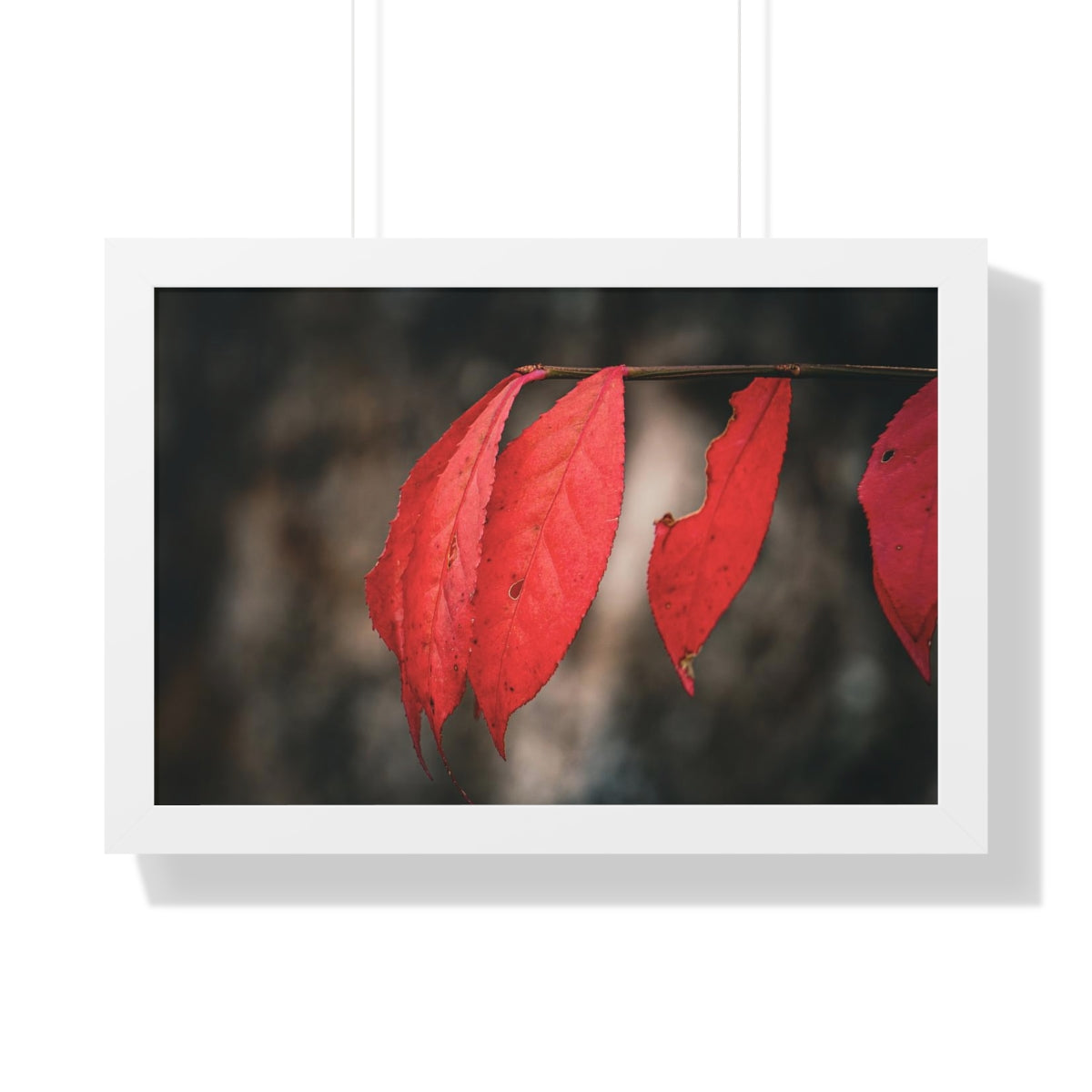 Leaves of Red Framed Matte Print