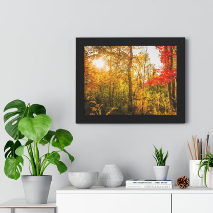 Happy Autumn Sun Framed Matte Print