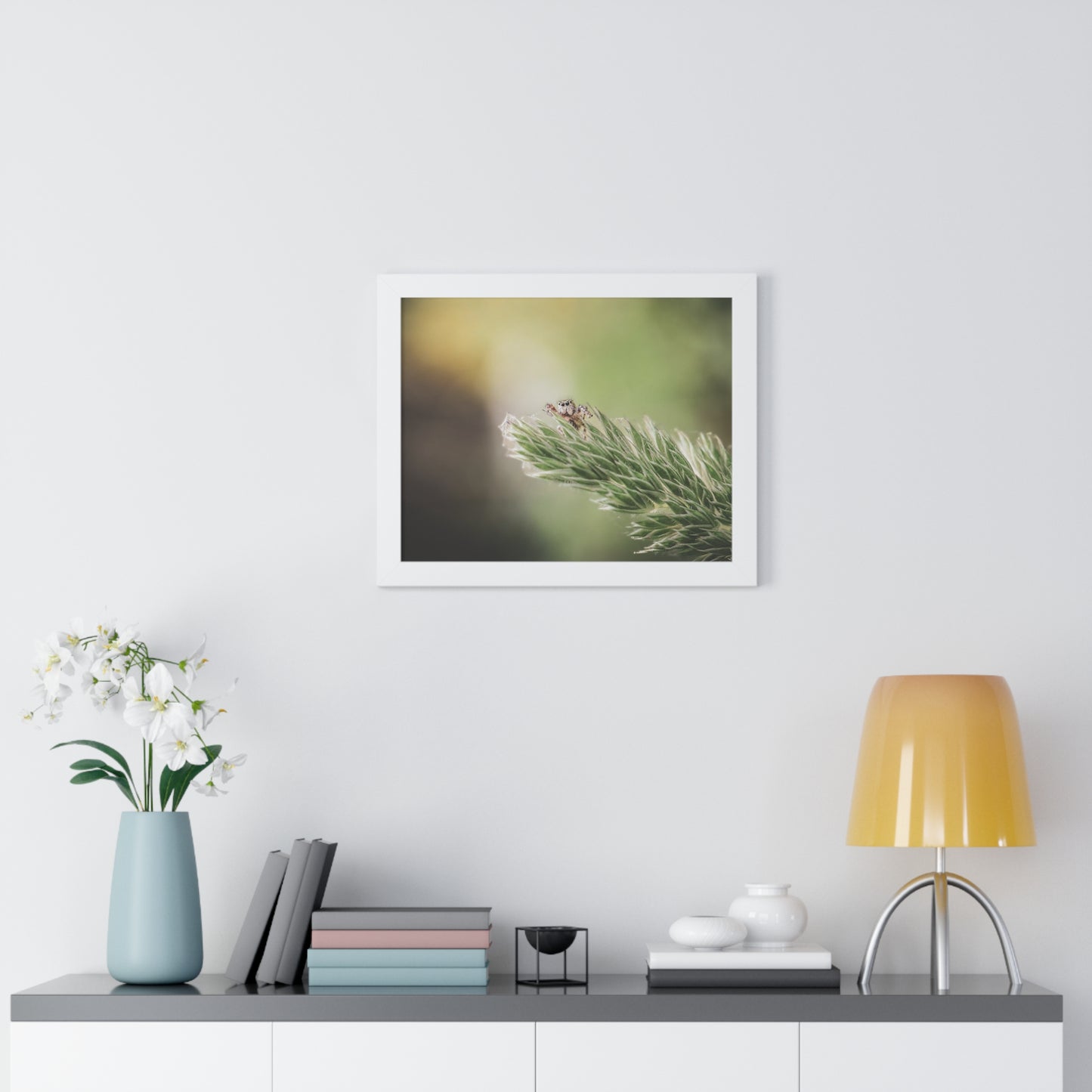 Jumping Spider in Macro Framed Matte Print