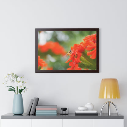 Flower Fly on Red Flowers Framed Matte Print