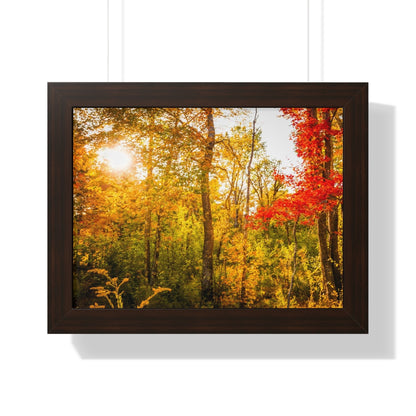 Happy Autumn Sun Framed Matte Print