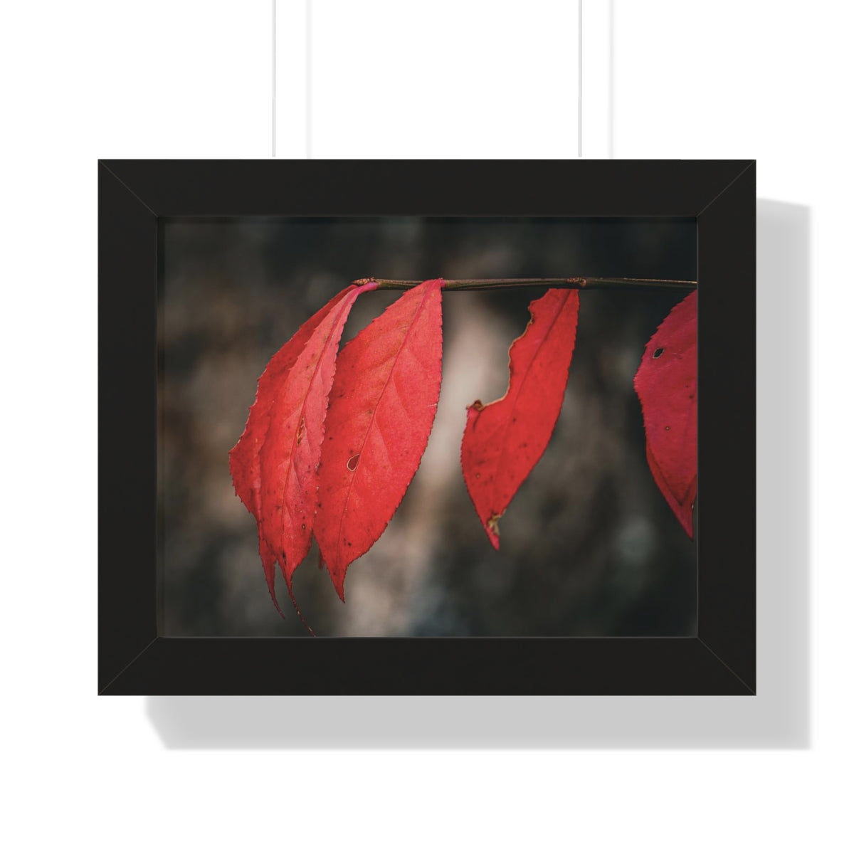 Leaves of Red Framed Matte Print