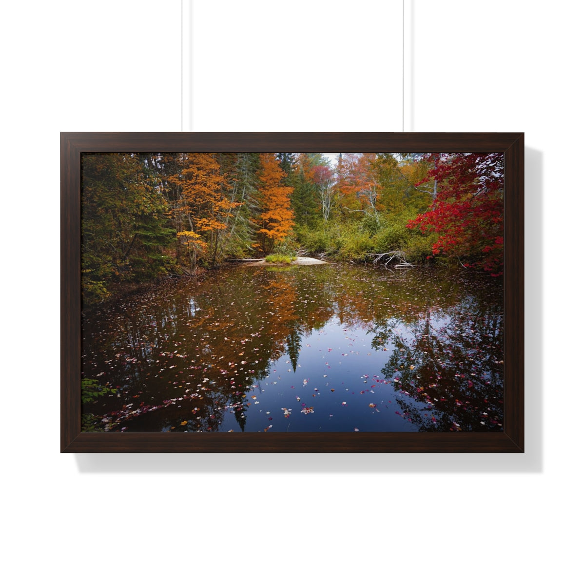 Maine Fall Foliage Waterscape Framed Matte Print