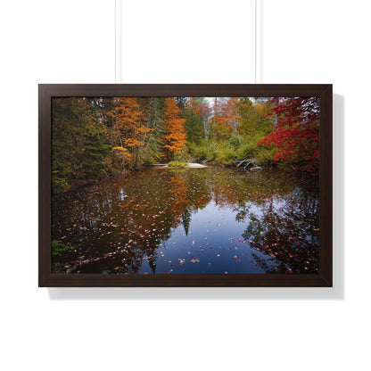 Maine Fall Foliage Waterscape Framed Matte Print