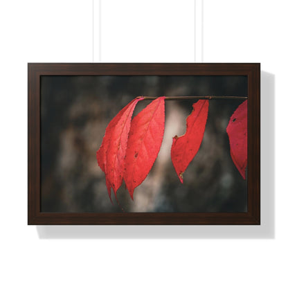 Leaves of Red Framed Matte Print