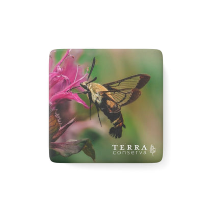 Hummingbird Moth Porcelain Magnet