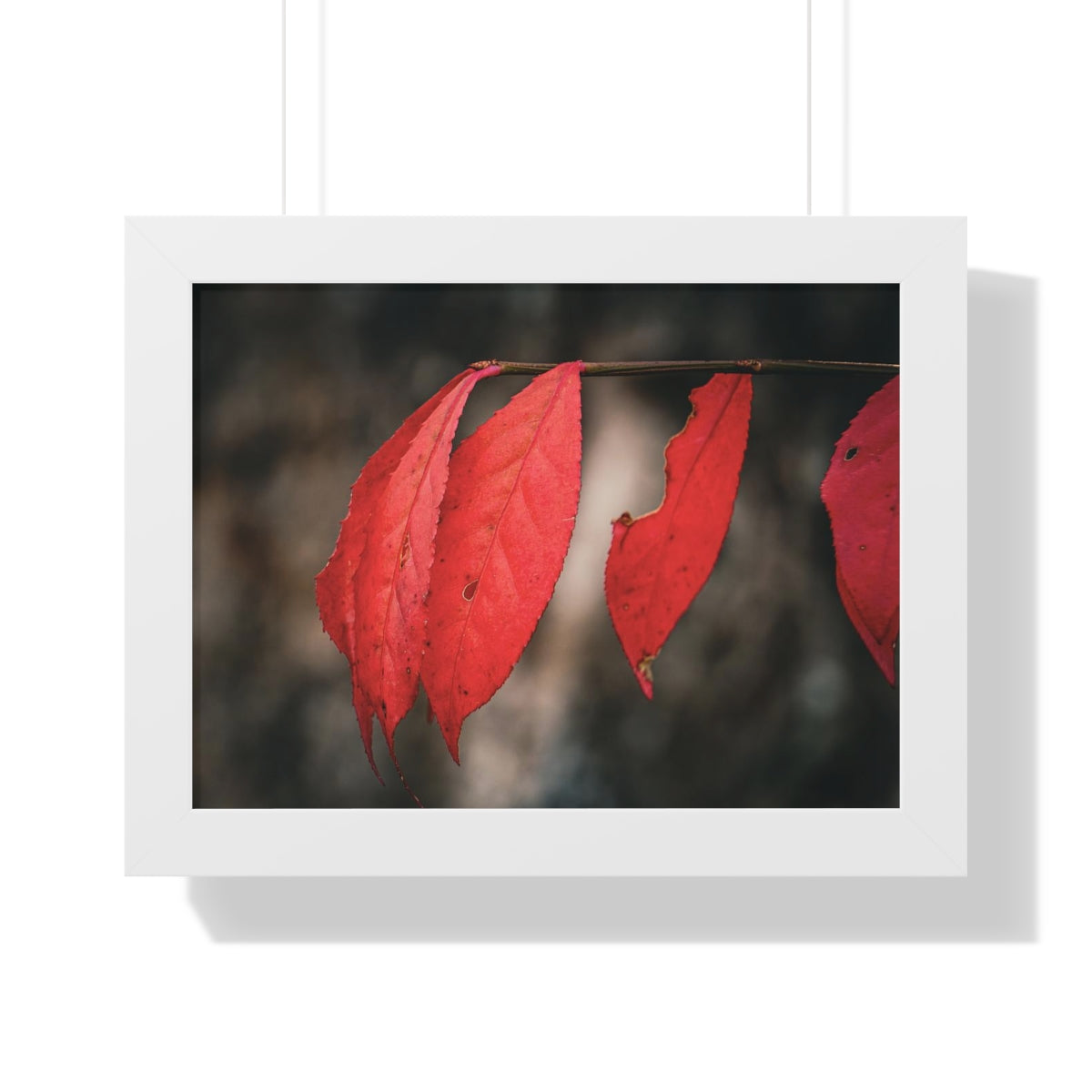 Leaves of Red Framed Matte Print